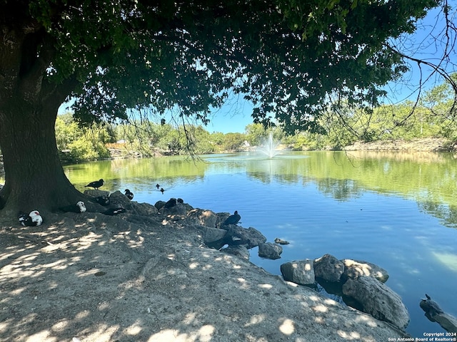 view of water feature