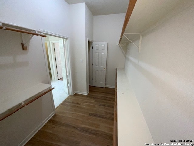 spacious closet with dark hardwood / wood-style floors