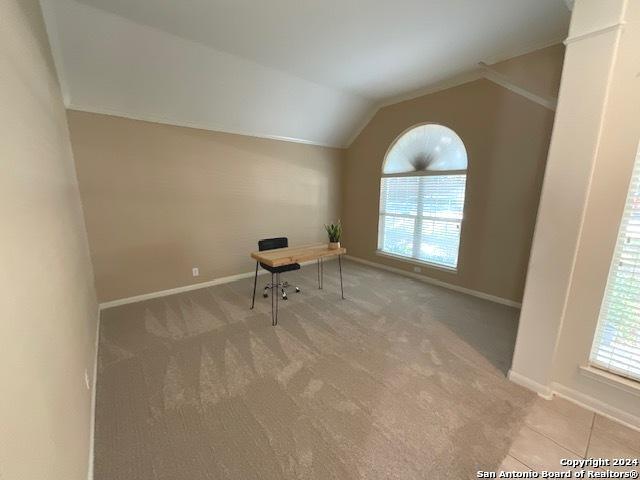 unfurnished office featuring lofted ceiling and carpet flooring