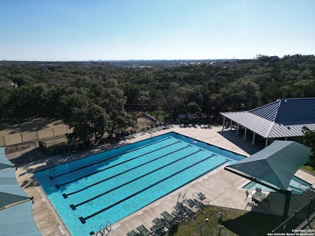 view of pool with a patio area