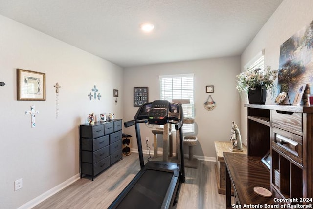 workout area featuring light hardwood / wood-style floors