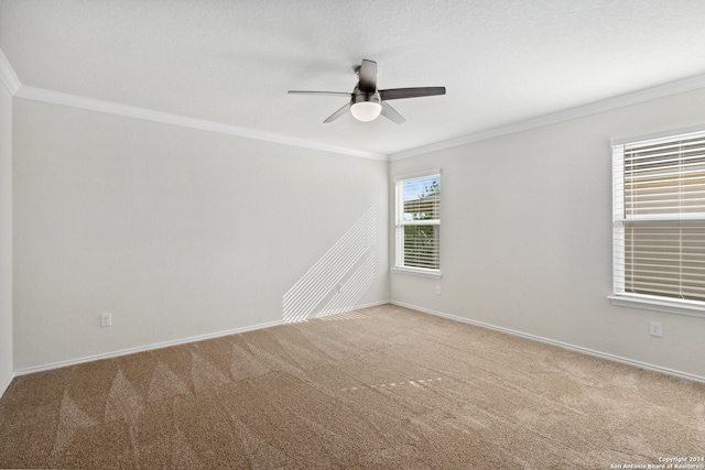 unfurnished room with ornamental molding, carpet, and ceiling fan