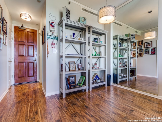 entryway featuring dark wood-type flooring