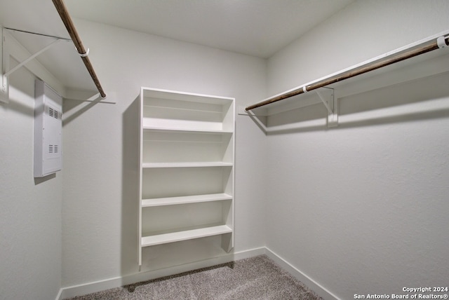 walk in closet with carpet floors