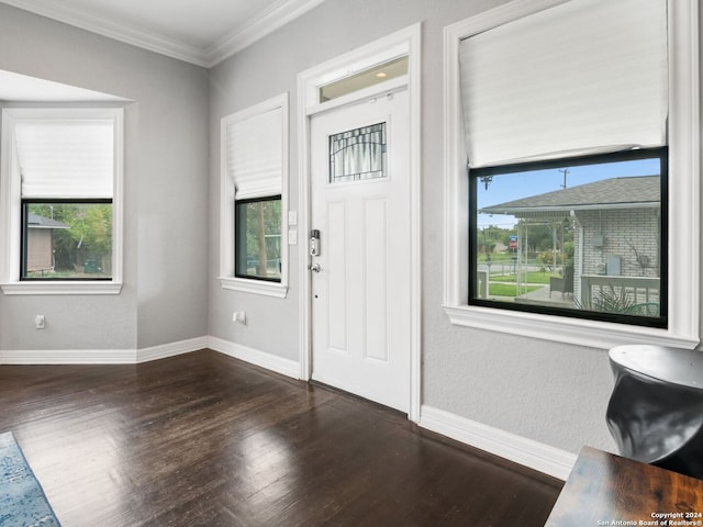 foyer entrance with dark wood-type flooring, crown molding, and a wealth of natural light