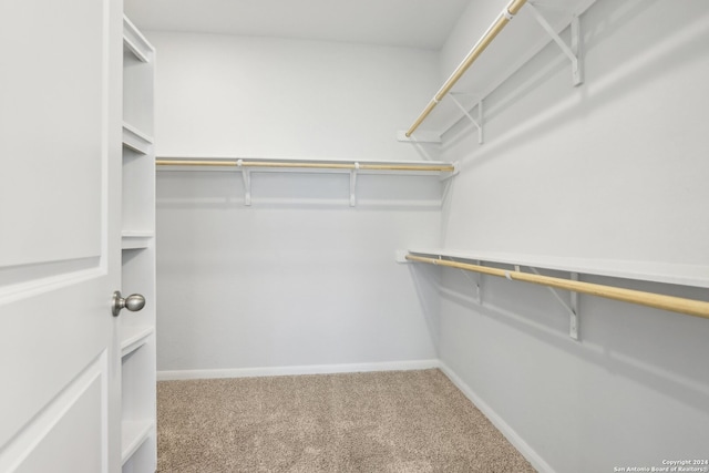 walk in closet featuring carpet floors