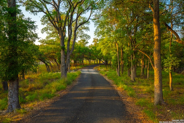 view of road