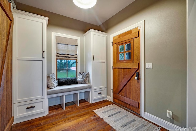 foyer entrance featuring hardwood / wood-style floors