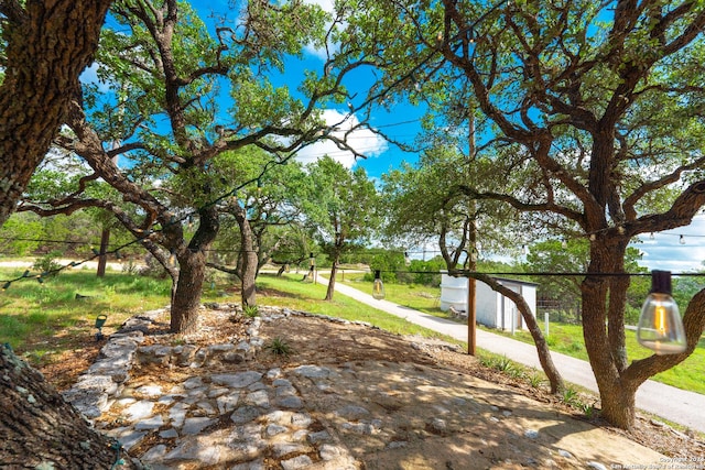355 Mountain Creek Rd, Pipe Creek, TX 78063 - view of yard