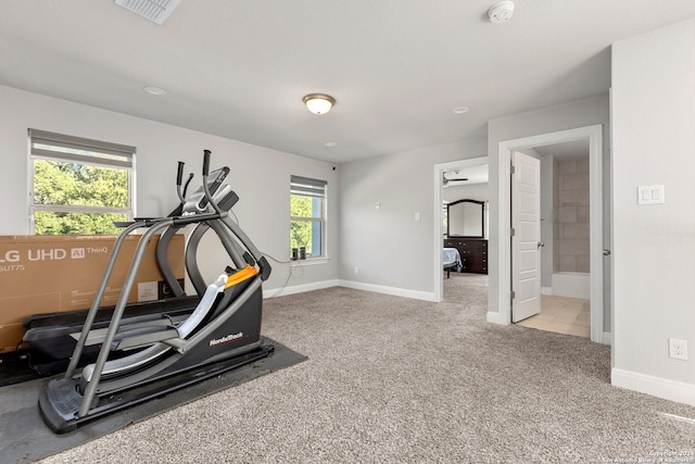 workout area with light carpet and plenty of natural light