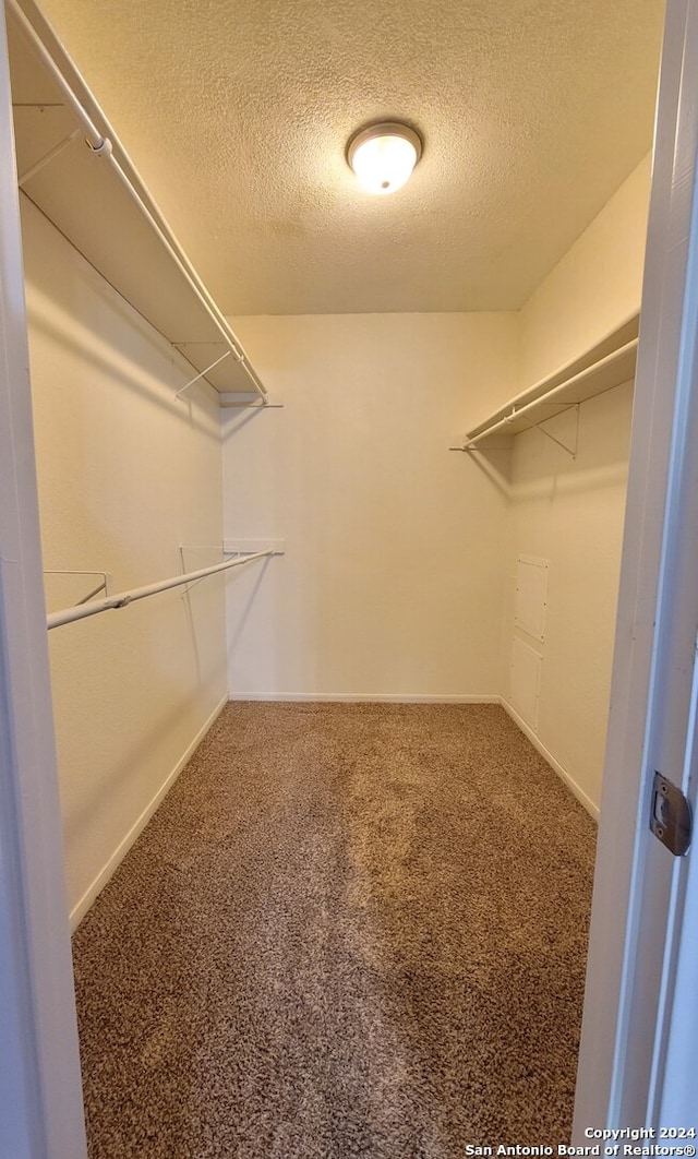 walk in closet with carpet floors