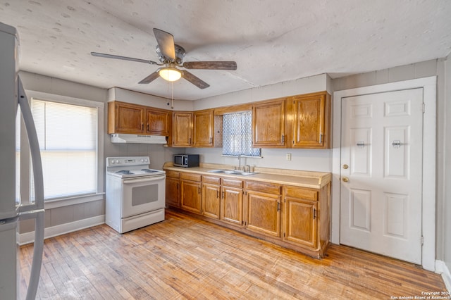 kitchen featuring sink, ceiling fan, stainless steel appliances, and light hardwood / wood-style flooring