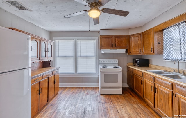 kitchen with light wood-type flooring, white appliances, sink, and ceiling fan