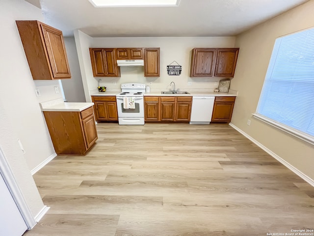 kitchen with a healthy amount of sunlight, white appliances, sink, and light hardwood / wood-style flooring