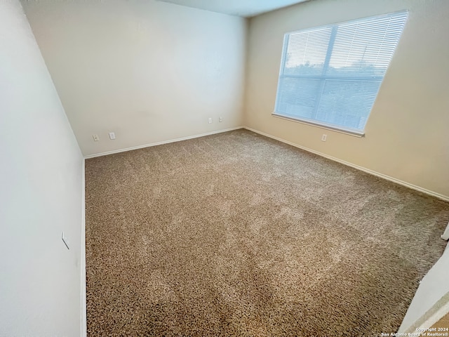 empty room featuring carpet flooring