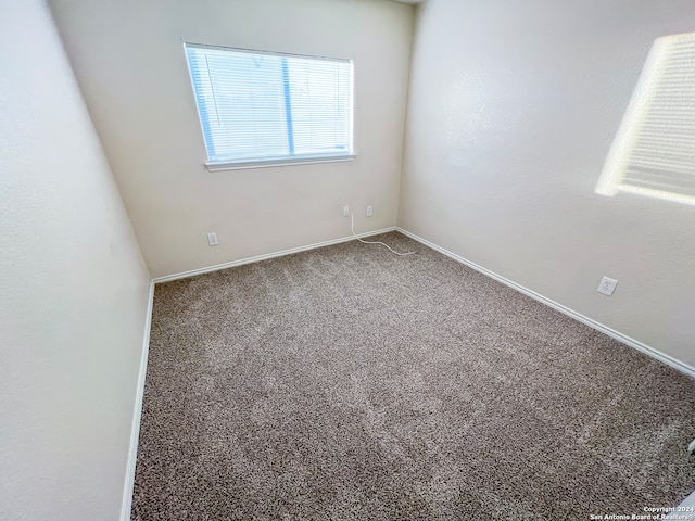 spare room featuring carpet floors