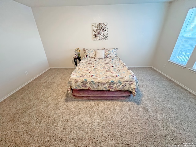 bedroom with carpet flooring