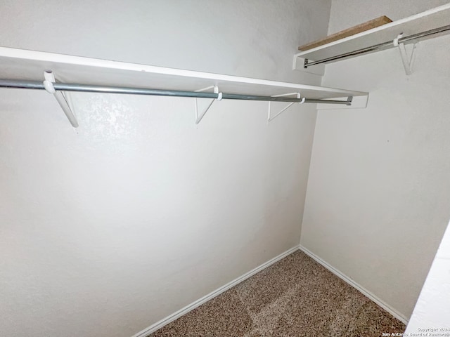 spacious closet with carpet