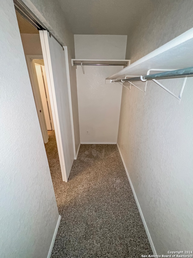 walk in closet featuring carpet flooring