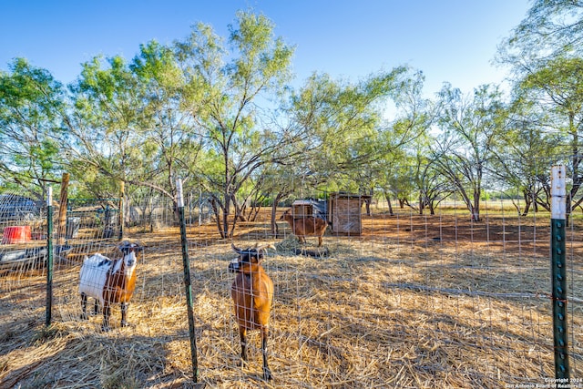 view of yard featuring a rural view