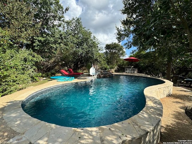 view of swimming pool