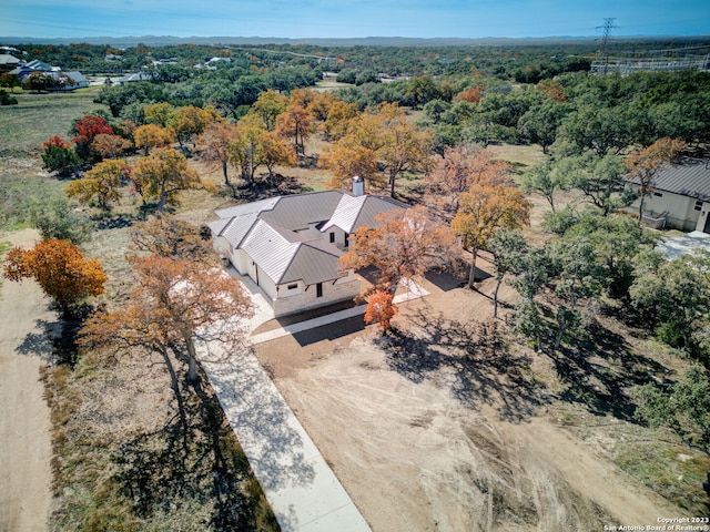 bird's eye view