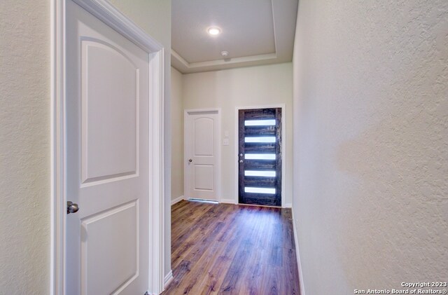 foyer entrance featuring wood-type flooring and a tray ceiling