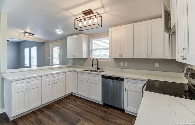 kitchen featuring white cabinetry, plenty of natural light, dark wood-type flooring, and stainless steel dishwasher