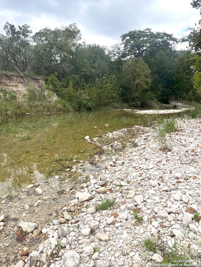 view of nature