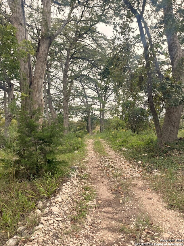 view of landscape