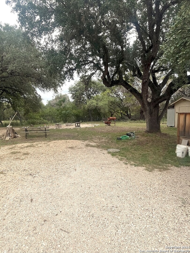 view of yard featuring a shed