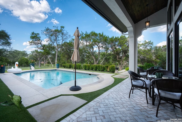 view of pool with a patio