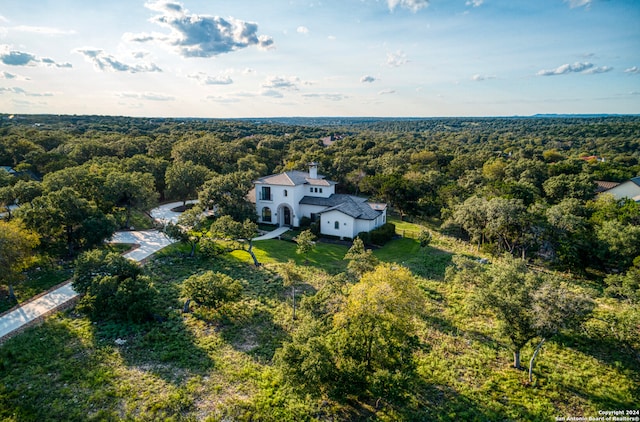 bird's eye view