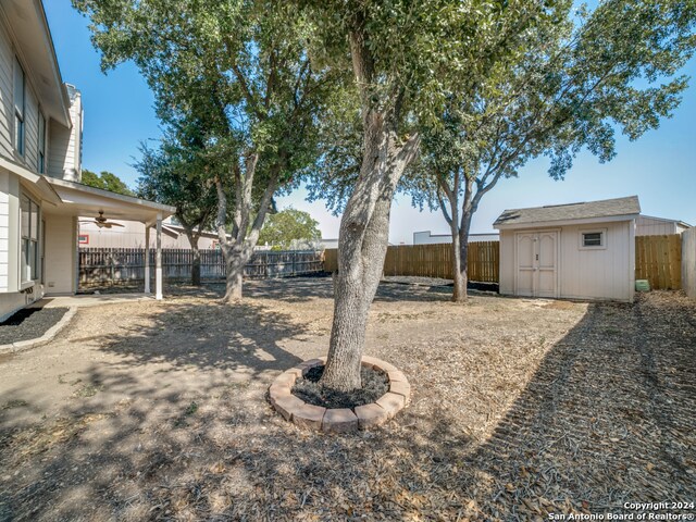 view of yard featuring ceiling fan and a storage shed