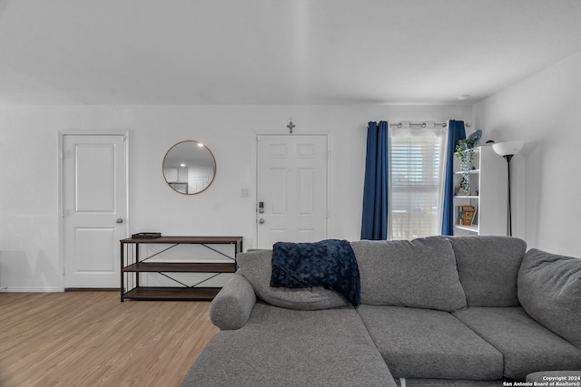 living room featuring hardwood / wood-style flooring