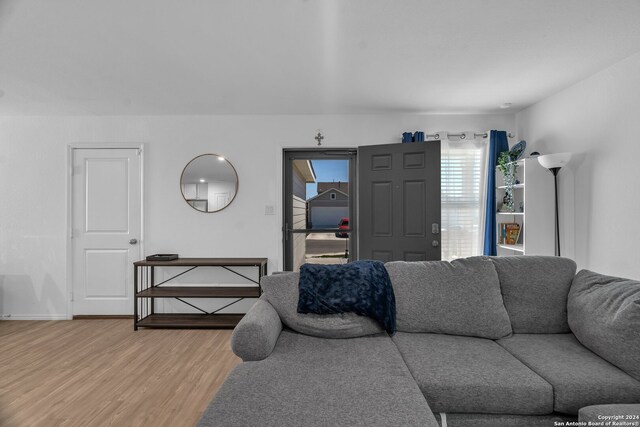 living room with hardwood / wood-style floors