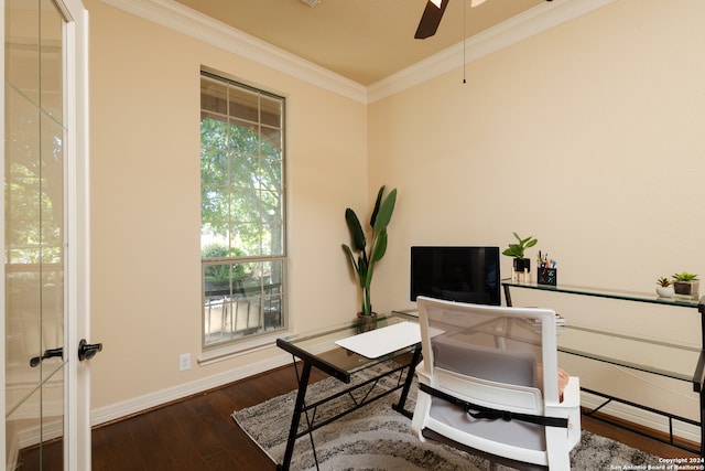 office featuring ceiling fan, ornamental molding, and dark hardwood / wood-style flooring