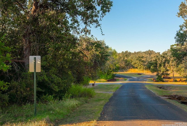 255 Colovista Pkwy, Bastrop, TX 78602