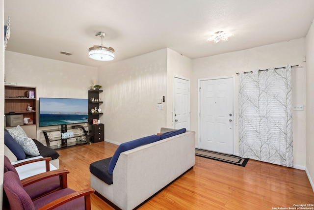 living room featuring wood-type flooring