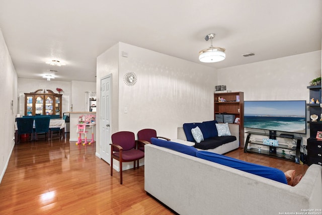 living room with hardwood / wood-style flooring