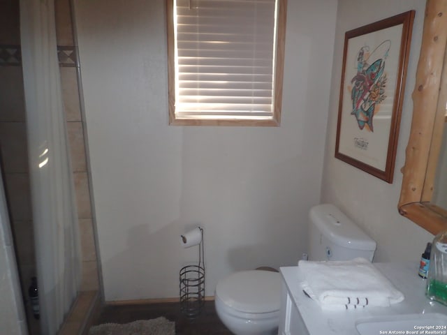 bathroom featuring vanity, toilet, and a shower with shower curtain