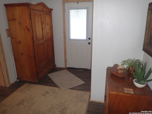 doorway to outside featuring dark wood-type flooring