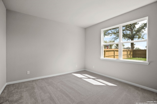 unfurnished room with carpet and a wealth of natural light