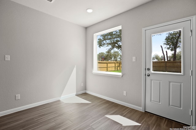 interior space featuring plenty of natural light and hardwood / wood-style floors