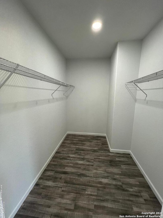 walk in closet with dark hardwood / wood-style floors