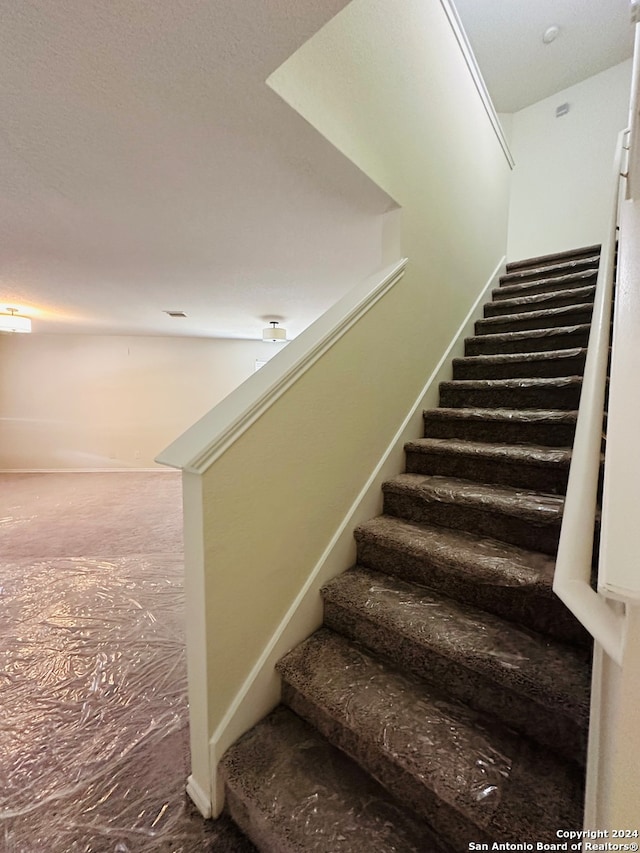 stairway featuring carpet floors