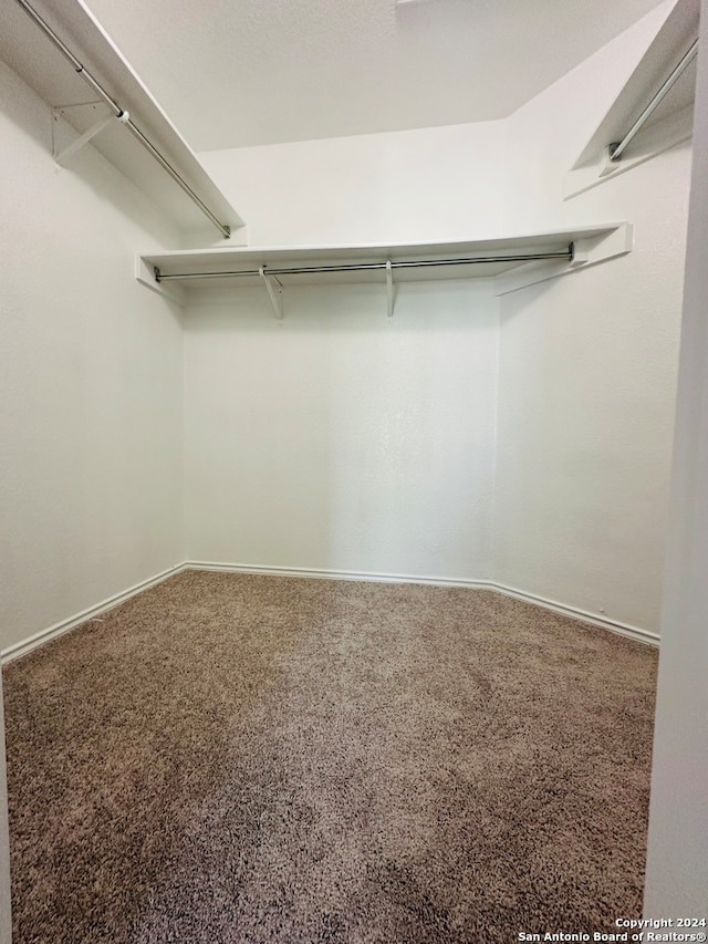 spacious closet with carpet flooring