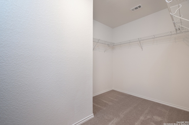 spacious closet featuring carpet