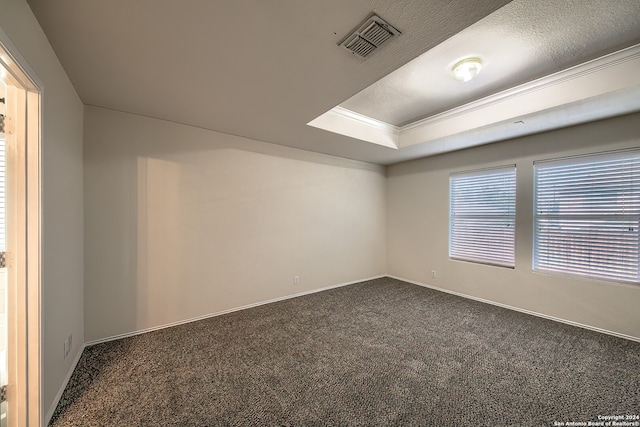 carpeted empty room featuring a textured ceiling, a raised ceiling, and ornamental molding