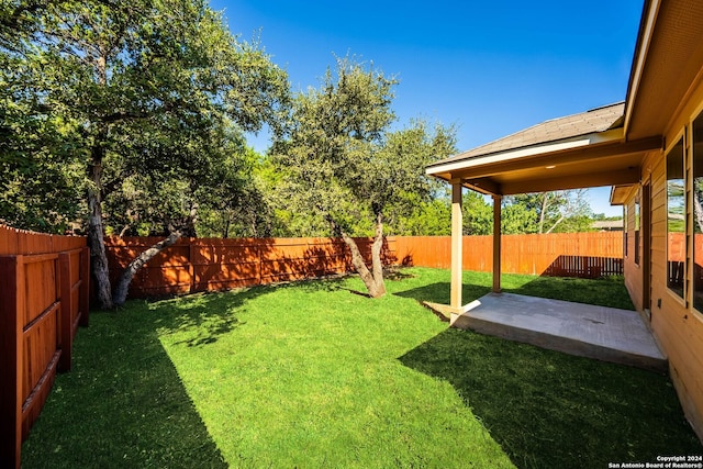 view of yard featuring a patio area